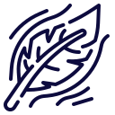 Simple line drawing of a feather